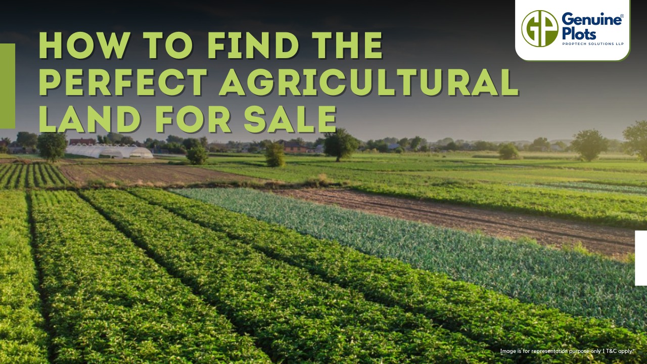How to Find the Perfect Agricultural Land for Sale